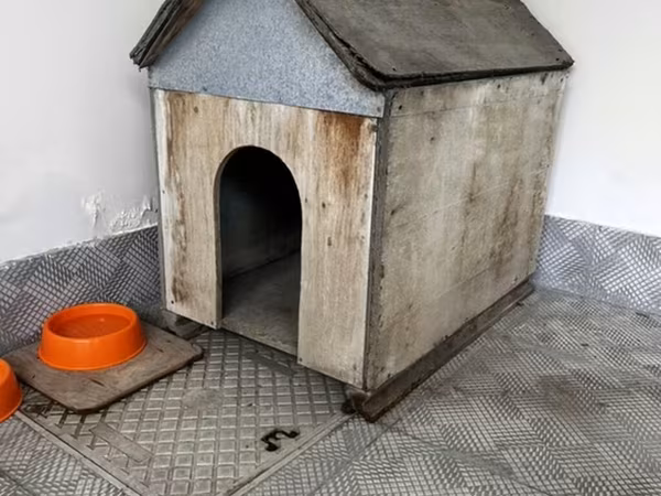 Taxta it evi - Material: qalın taxta korpus, dam və ön hissədə