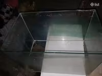 Ակվարիումներ, ձկների համար, ձկներ, ձուկ — foto 2