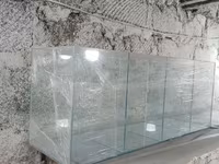 Ակվարիում բաժանած 4 սեկցիաների — Foto 3