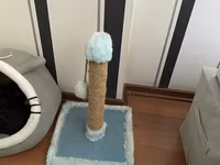Daşıma çantası, tualet qabı və kürə, ikili yem qabı, dırnaq itiləmə — Foto 4