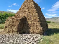 Առվույտի հակեր (տուկեր) մեծածախ — foto 4