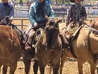 At, Quarter Horse — foto 8