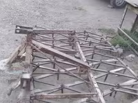 Baran, Owce — zdjęcie 4