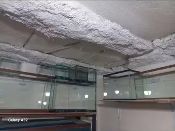 Ակվարիոմներ ակվարիում նոր ակվարյոմ