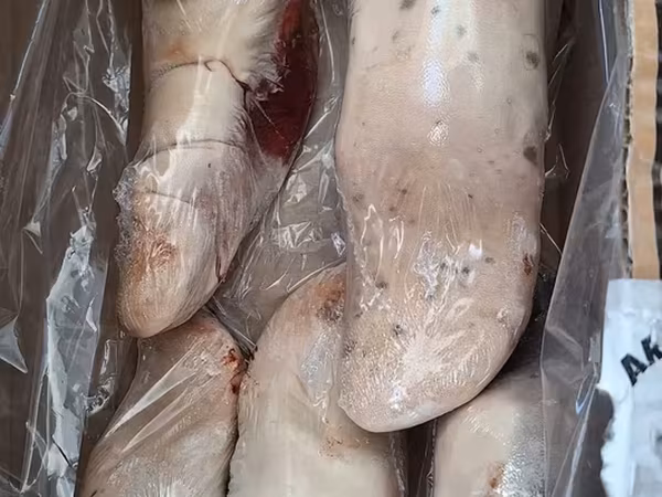 Язык говяжий бразилия