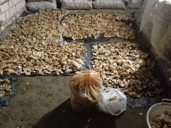 Qurudulmuş çörək qırıntıları – heyvan yemi və qida istehsalı üçün