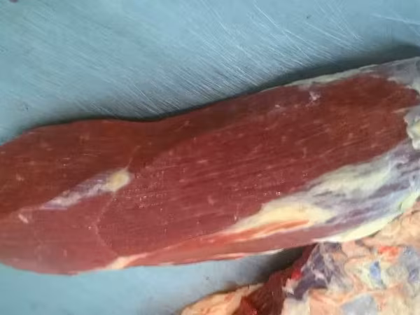 глазной мускул голень б/к перо лопатки