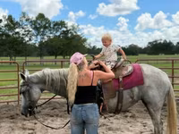 Stute, Quarter Horse — Foto 5
