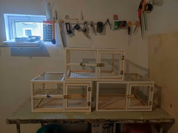 Dovşan,hamster,şinşila,bildirçin,cücə,xamyak,pişik,quş ve s kimi ev