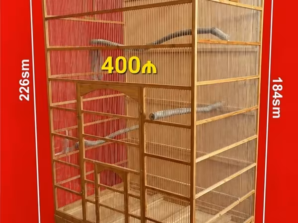 Taxta qefes yeni iki yan terefden yuva asmaq ucun qapisi var Qiymeti -
