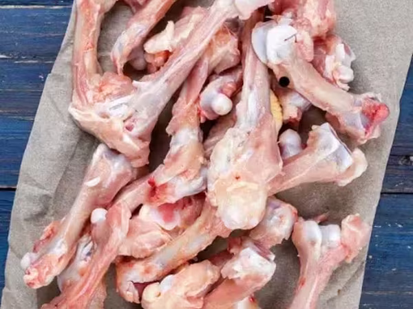Հավի բդի լուլա Շան կեր
