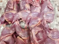 Quails — Foto 8