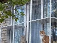 Pəncərə üçün “catio” – pişiklər üçün açıq, təhlükəsiz balkon-kafes - — 照片 4