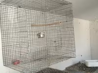 Metalkarkas quş qəfəsləri – iri həcmli model Məhsul təsviri: - — foto 4
