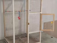 Papuqay,dovşan,hamster,şinşila,bildirçin,cücə,xamyak,pişik,quş,tısbağa — Foto 2