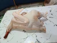 Turkeys — photo 8