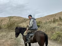 حصان, Azerbaijan horse — الصورة 3