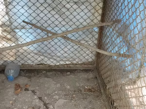 Dəmir qalın materiallardan hazırlanmış hin.Şəkidə yerləşir.Eni