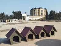 It yuvaları. 120 sm likdir.böyük ölçülü itlərədə uyugundur. hazır 8 — 照片 5