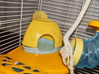 Dəbilqəli hamster üçün çoxmərtəbəli qəfəs dəsti - Rənglər: açıq mavi — фото 2