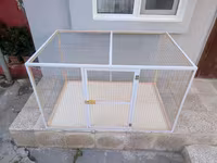 Papuqay,dovşan,hamster,şinşila,bildirçin,cücə,xamyak,pişik,quş,tısbağa — Foto 3