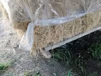 Խառը խոտ լավ որակի — foto 2