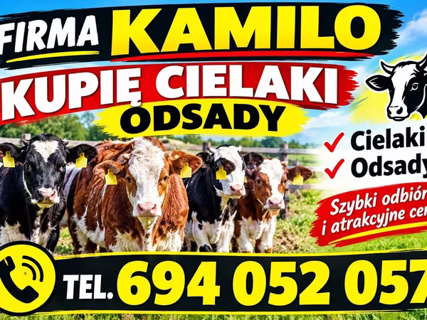Skot (série, pohlaví neuvedeno), Skot