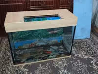 Ակվարիում 130 լ տարողություն — photo 1