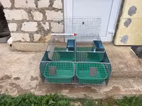 Cuști pentru iepuri клетка для кроликов — foto 1