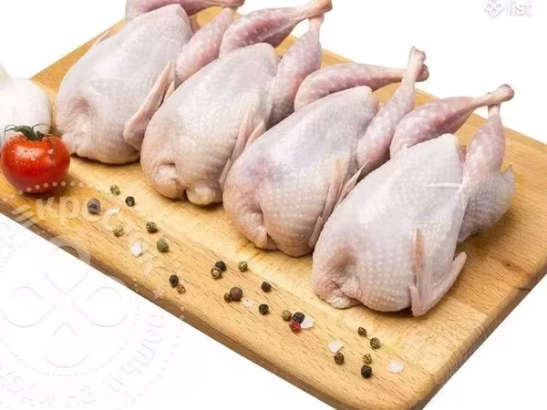 Լորի միս բռոյլեռ ճուտ