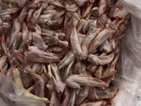 Salam hörmətli müştərilər Qiymət hər məhsulun kq görə dəyişir. Toyuq — 照片 2