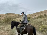 حصان, Azerbaijan horse — الصورة 1
