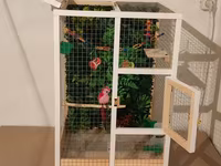 Papuqay,dovşan,hamster,şinşila,bildirçin,cücə,xamyak,pişik,quş,tısbağa — foto 3
