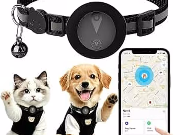 🐾 İT VƏ PİŞİKLƏR ÜÇÜN GPS CİHAZI 🐕 İri və kiçik cins itlər 🐈 Bütün
