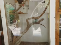 Böyük tutumlu quş qəfəsi – aksesuarlarla - Material: ağ rəngli taxta — फ़ोटो 2