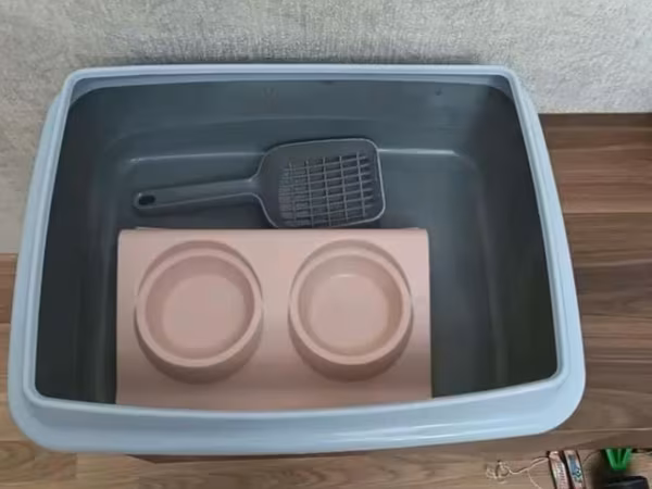 Ev heyvanları üçün dəst - Böyük ölçülü plastik konteyner/qutu – pişik