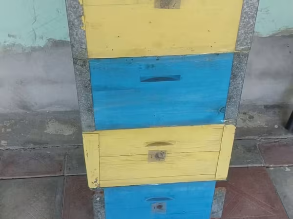 Arı pətəyi (taxta korpuslu, çoxmərtəbəli) Dəst qiyməti 40 manat(