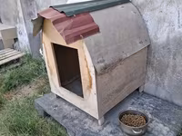 Taxta it evi - Material: kontrplak/taxta gövdə, üstü dalğalı metal — 照片 2