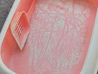 Məhsul: Pişik tualeti qabı və kürəciyi - Material: davamlı plastik - — الصورة 2