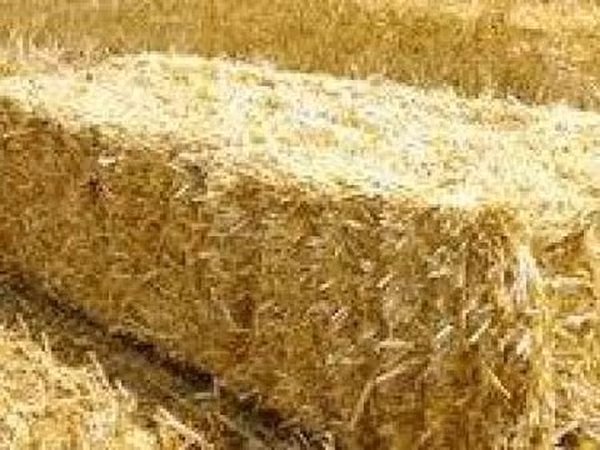 Saman satılır
ünvan Qobustan rayonu 
qiyməti 1.50