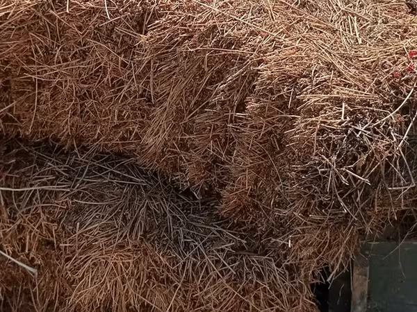 Qurudulmuş saman/topa ot - Heyvandarlıq üçün təbii yem: inək, qoyun
