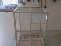 Papuqay,dovşan,hamster,şinşila,bildirçin,cücə,xamyak,pişik,quş,tısbağa — foto 2
