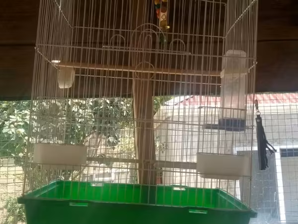 Quşlar üçün nəzərdə tutulmuş, ağ rəngli metal çubuqlardan hazırlanmış