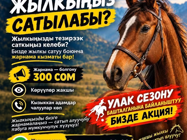 Konie (partia, płeć nieokreślona), Konie