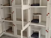 Pişiklər üçün mini-otel / saxlama otağı - Qapalı və təhlükəsiz — Foto 2