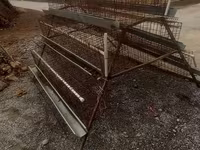 Katak 6 dona taklanib yigiladi — zdjęcie 2