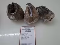 Обрезь мясная говяжья(головная) — foto 4