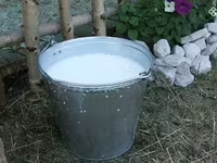 Կաթ, անարատ, կաթնամթերք — Foto 1