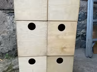 Կարելայի ձվադրման բներ — фото 1