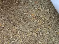 Համակցված կեր թռչունների համար — الصورة 2